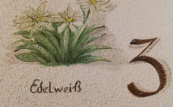 Ferienwohnung-Edelweiss